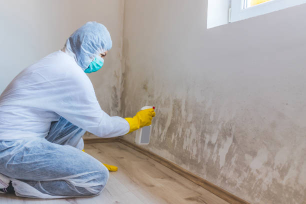 Licensed Commercial Mold Remediation service in Glencoe, MN - WQB Mold Removal