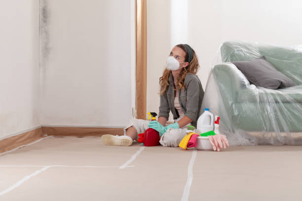Reliable Commercial Mold Remediation contractor in Glencoe, MN by WQB Mold Removal